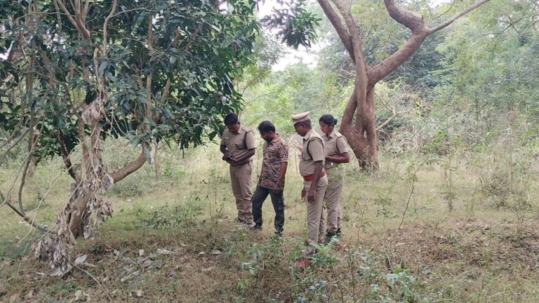 All-India Tiger Estimation begins at Thanthai Periyar Wildlife Sanctuary in Erode