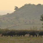 Chilly weather regains grip over Telangana; 6.3℃ recorded in Asifabad