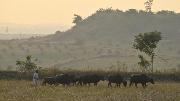 Chilly weather regains grip over Telangana; 6.3℃ recorded in Asifabad