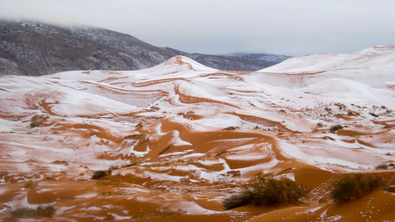Snowfall in the Sahara Desert: A Rare Natural Event That Surprised the World