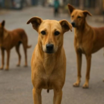 Mass Killing of Stray Dogs in Telangana Continues, Death Toll Reaches Around 1100