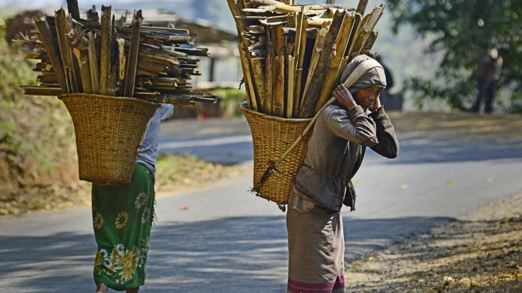 Women-led decentralised renewable energy and India’s last-mile transition