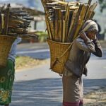 Women-led decentralised renewable energy and India’s last-mile transition