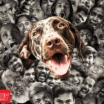 Why everybody loves a good chaos? From Priyadarshan and LJP’s movies to Pennum Porattum, unpacking the ‘ridiculous’ charm of chaotic comedy