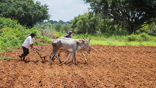 Opposition Attacks Centre Over India US Trade Deal, Government Says Farmers Are Safe