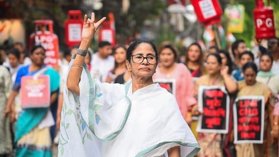‘TMC will win over 226 seats’: Mamata Banerjee's prediction for West Bengal elections 2026| India News