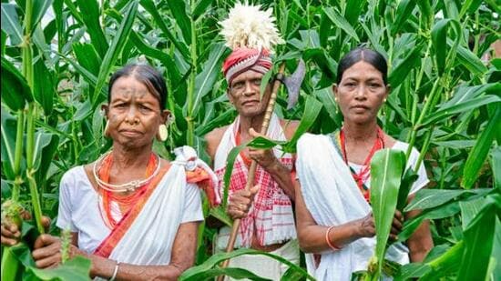 Half of Odisha’s most vulnerable tribals cut off from welfare schemes: CAG report| India News