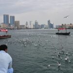 Indian among 4 injured as drones fall near Dubai airport amid Iran-US war| India News