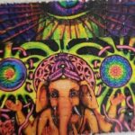 NCB busts darknet drug network; over 2,000 LSD blots and MDMA seized nationwide| India News