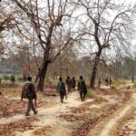 Chhattisgarh: Over 30 Maoists surrender across Bastar; major recoveries reported in four districts| India News