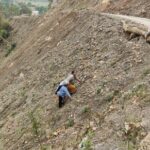 7 Indian pilgrims killed in Nepal's Gandaki after bus falls into 500-feet-deep ravine| India News