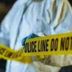 Man, 2 grandchildren, 8 and 10, run over by speeding Thar in Pataudi| India News