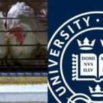 Once without money for clothes, Indian farmer gets invite for Oxford address after poultry business boom| India News