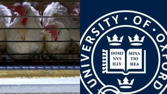 Once without money for clothes, Indian farmer gets invite for Oxford address after poultry business boom| India News
