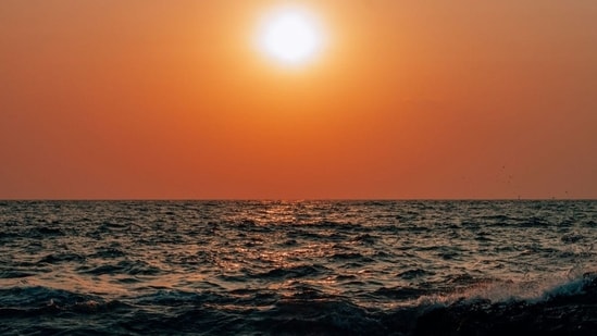 Five tourists rescued from drowning, three treated for dog bites at Goa beaches| India News