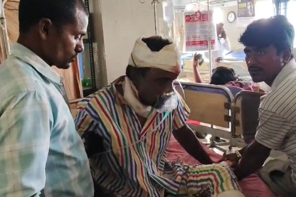 Fisherman survives fight with tiger in Sundarbans