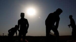 El Nino explained: Why India could see less rain and more heat in 2026 due to this weather cycle| India News