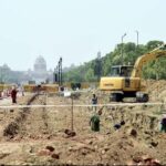 Central Vista project records 43% loss in transplanted trees| India News