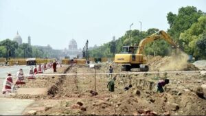 Central Vista project records 43% loss in transplanted trees| India News