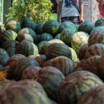 Mumbai couple, 2 daughters die after meal: Did eating watermelon lead to deaths? Probe on