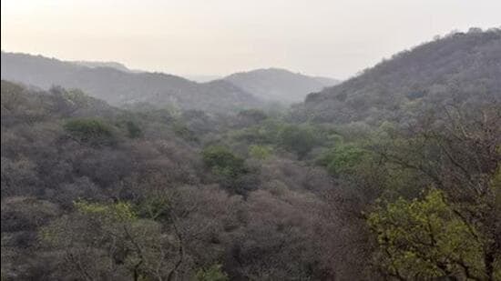 Digitally map forest limits: Govt to states| India News