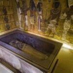 Scientifically Speaking: An ancient Tamil visitor in Egypt’s Valley of the Kings| India News