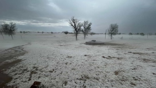 ‘Not Kashmir’: Rajasthan's Bikaner turns white after intense hailstorm