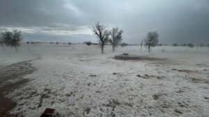 ‘Not Kashmir’: Rajasthan's Bikaner turns white after intense hailstorm