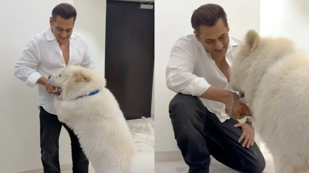 Salman Khan spends quality time with his furry friend