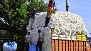 India may take middle path, unlikely to remove import duty on cotton - The HinduBusinessLine