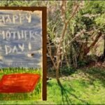 Book Box: Cracking the mother-daughter code