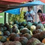 Watermelon deaths mystery deepens after rat poison bottle is found