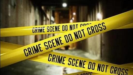 Crime dipped, pending cases didn’t in 2024